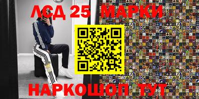 индика Гусь-Хрустальный
