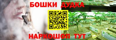 индика Гусь-Хрустальный