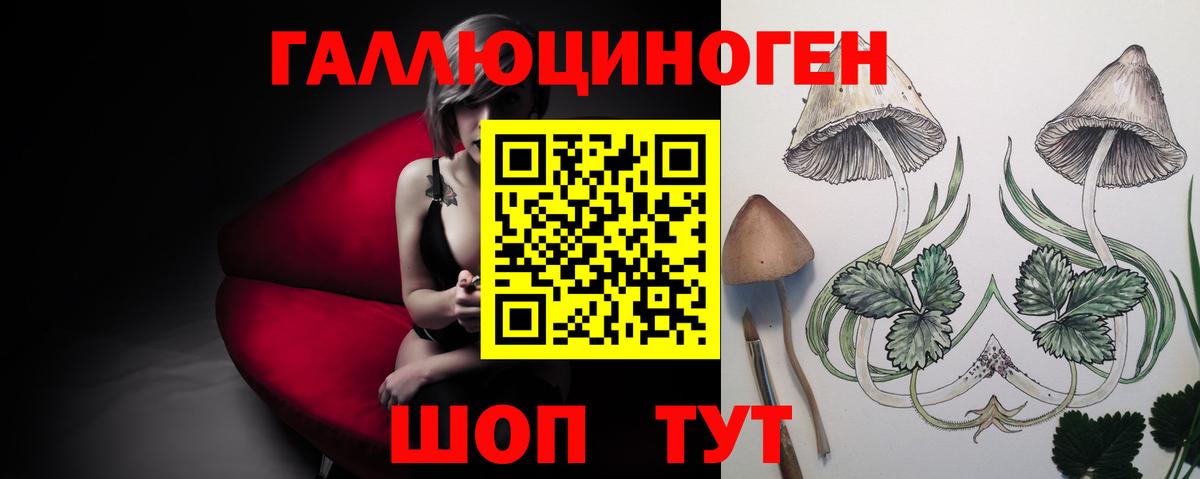 Зеленокумск  Галлюциногенные грибы мицелий  Вход с VPN 