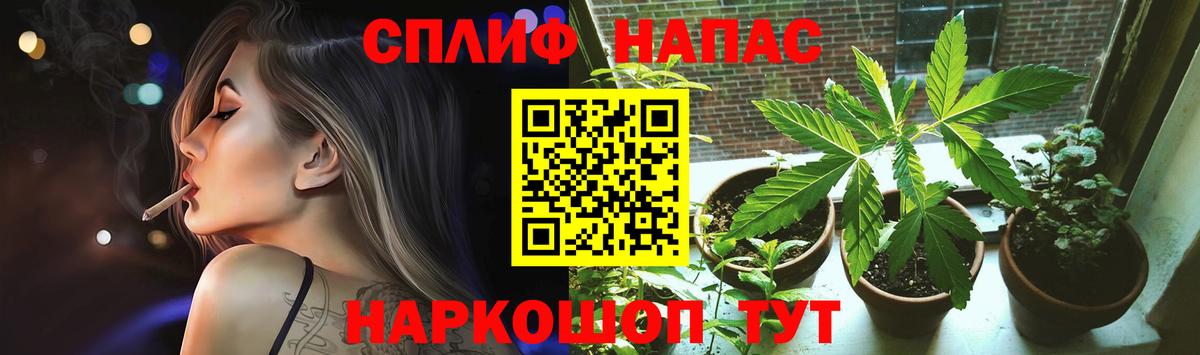 Марихуана White Widow  Конопля сатива  Вход с VPN  Марихуана планчик  Зеленокумск 